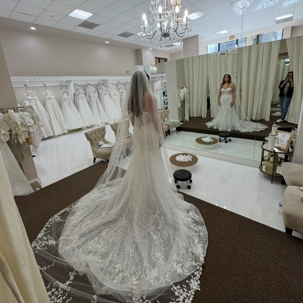 Cathedral length ivory wedding veil